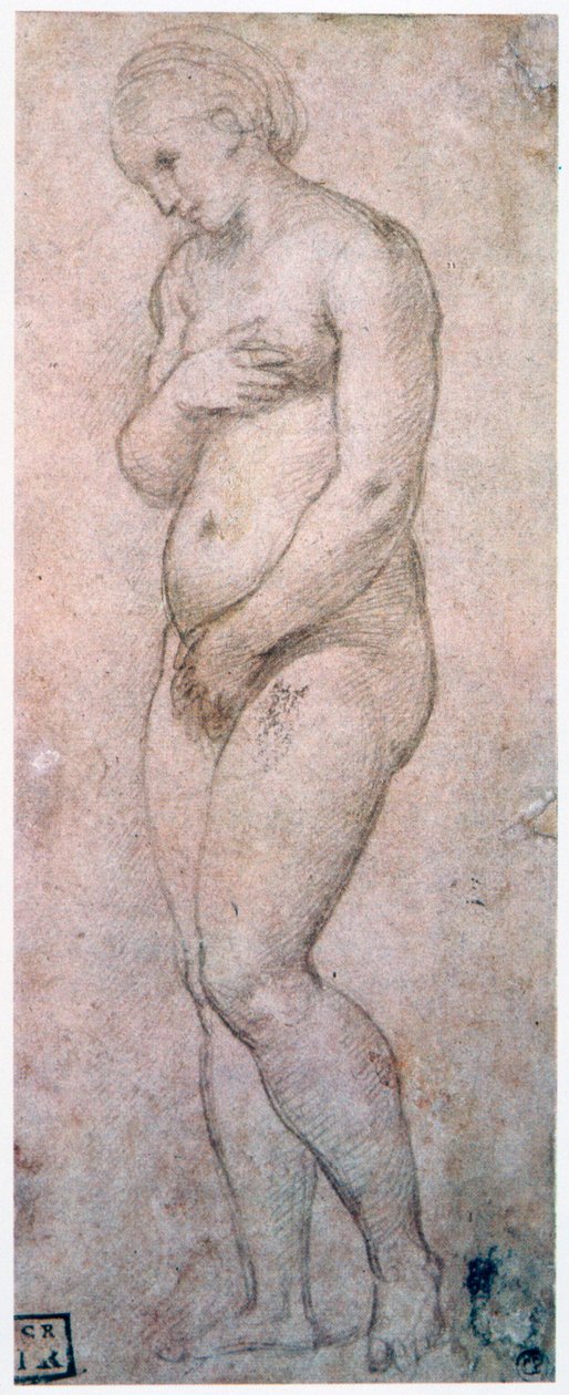 Studium Venuše, c1500-1520 od Raffaello Sanzio Raphael