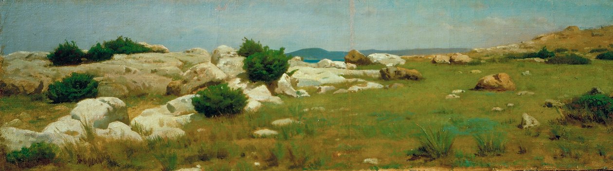 Castiglioncello (olej na plátně) od Raffaello Sernesi