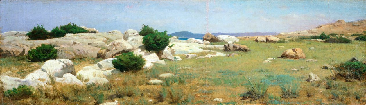 Cliff at Castiglioncello (olej na plátně) od Raffaello Sernesi