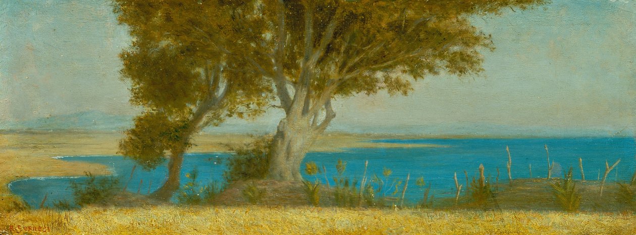 Marina di Castiglioncello od Raffaello Sernesi