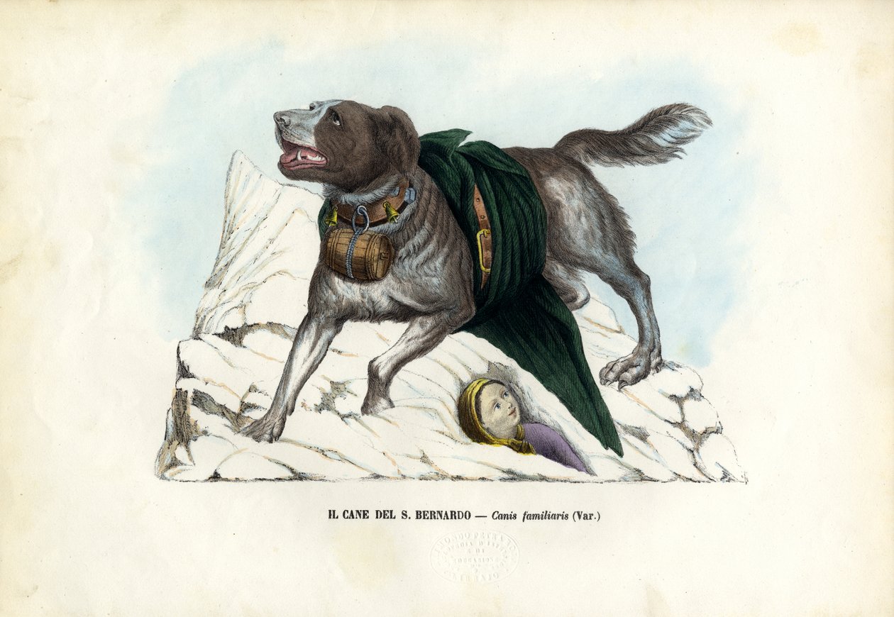 Psi, 1863-79 od Raimundo Petraroja