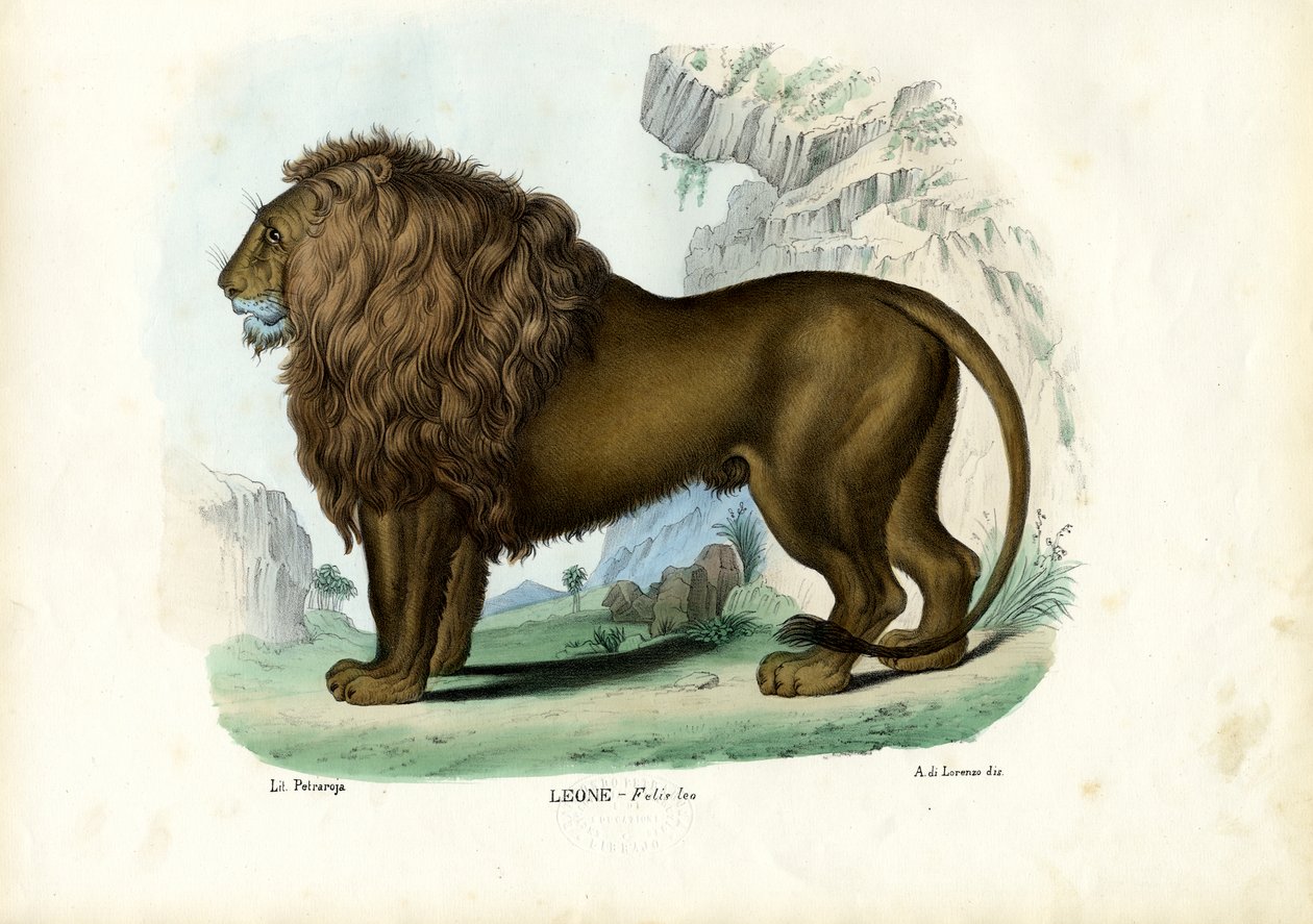 Lev, 1863-79 od Raimundo Petraroja