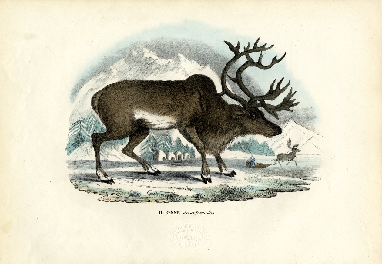 Sob, 1863-79 od Raimundo Petraroja