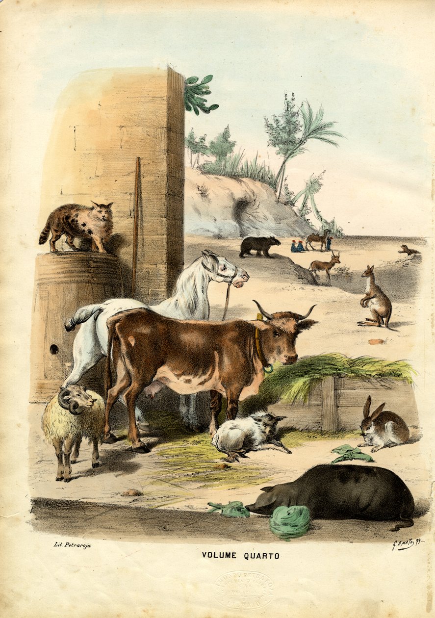 Titulní strana, 1863-79 od Raimundo Petraroja
