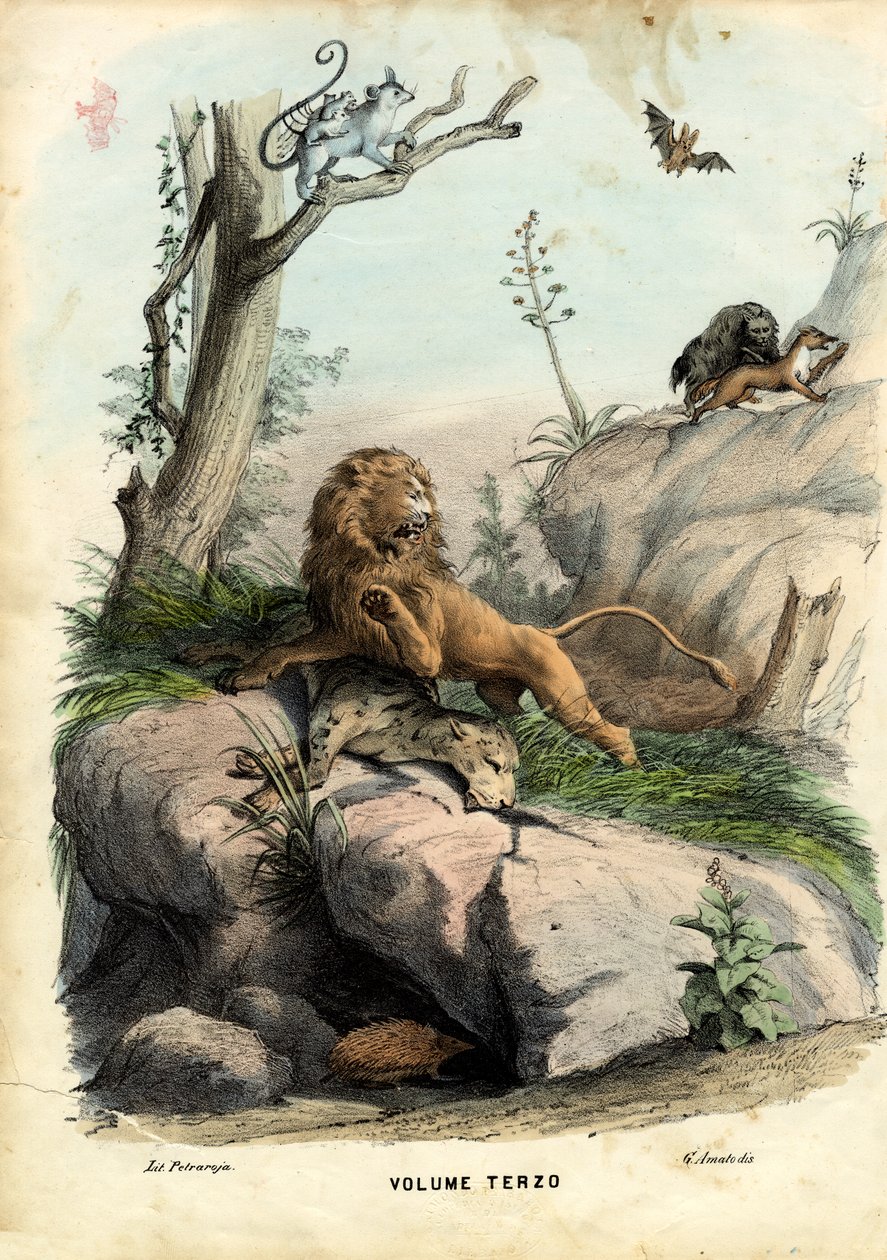 Titulní strana, 1863-79 od Raimundo Petraroja