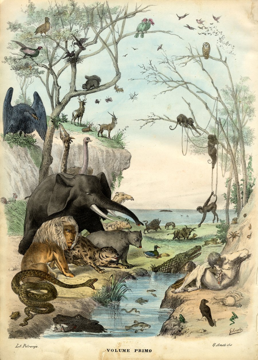 Titulní strana, 1863-79 od Raimundo Petraroja