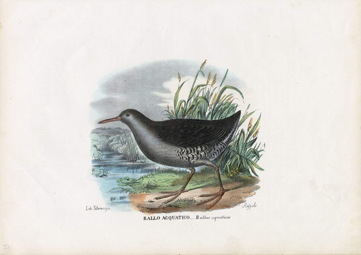 Vodní dráha, 1863-79 od Raimundo Petraroja