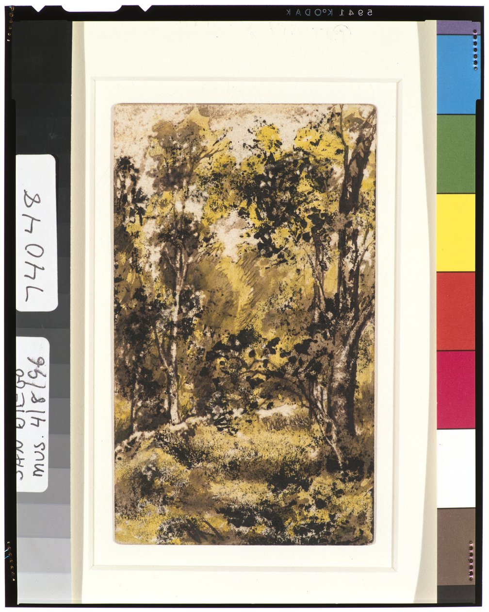 Lesní scéna, 1901-15 od Ralph Albert Blakelock