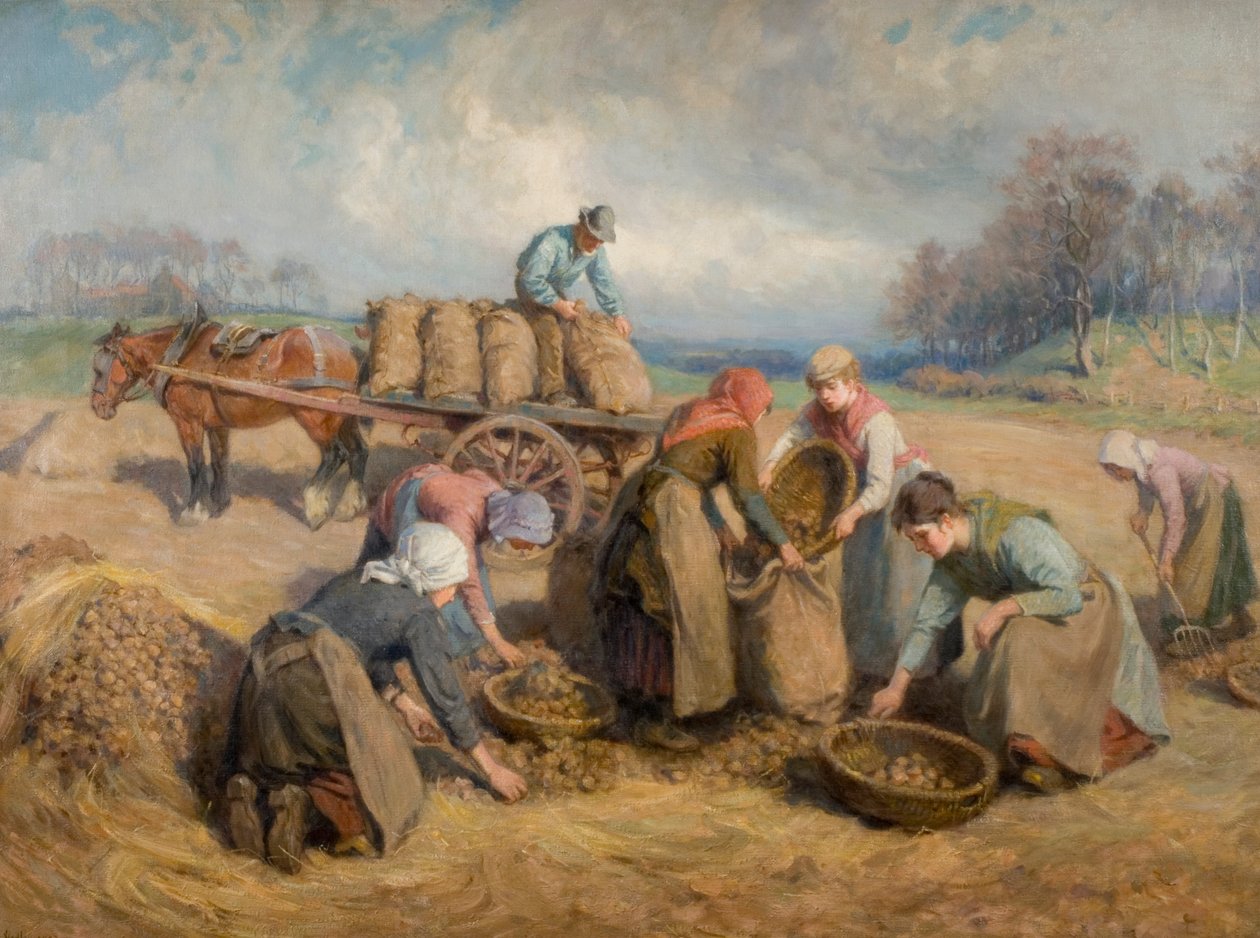 Sběrači brambor, Northumberland, 1903 od Ralph Hedley