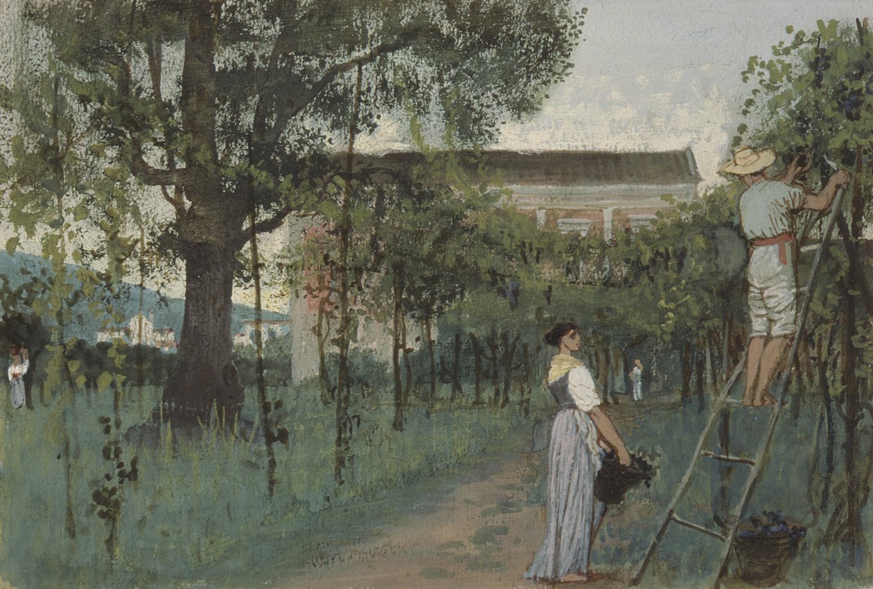 Sběr hroznů od Randolph Caldecott