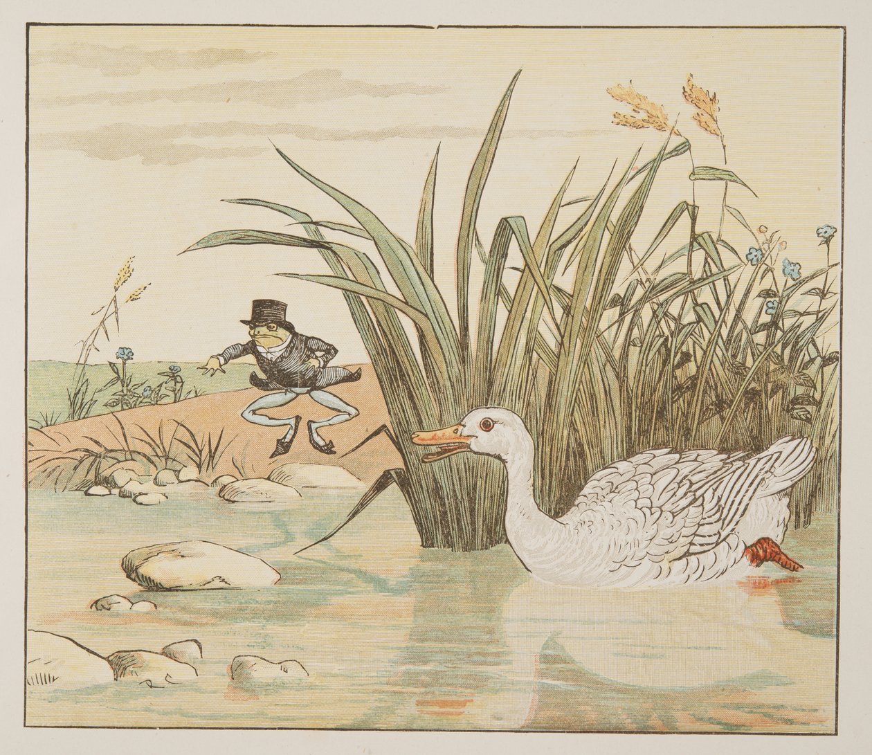 Přišla liliově bílá kachna a pohltila ho, z The Hey Diddle Diddle Picture Book, pub. 1882 (barevná rytina) od Randolph Caldecott