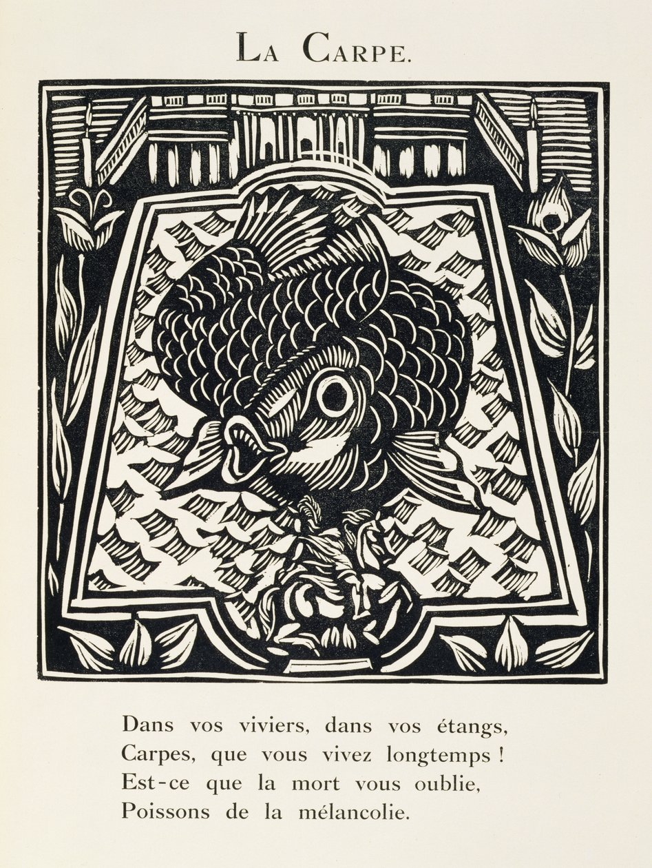 Kapr, ilustrace z knihy "Bestiář aneb Orfeův průvod od Raoul Dufy