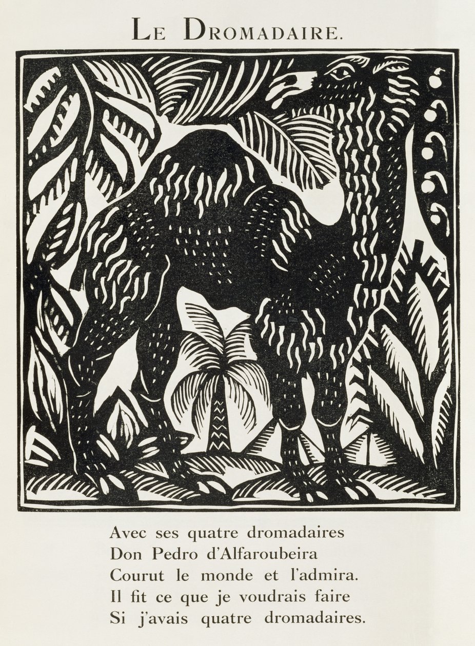 Dromedár, ilustrace z knihy "Bestiář aneb Orfeův průvod od Raoul Dufy