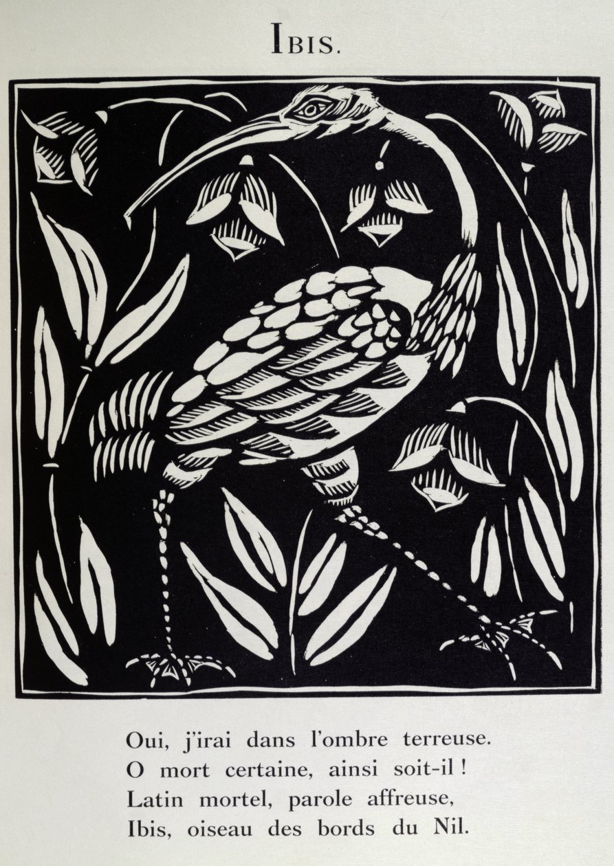 Ibis, ilustrace z "Bestiáře" aneb "Orfeův průvod" od Guillauma Apollinaira (1880-1918) 1911 (dřevoryt) od Raoul Dufy