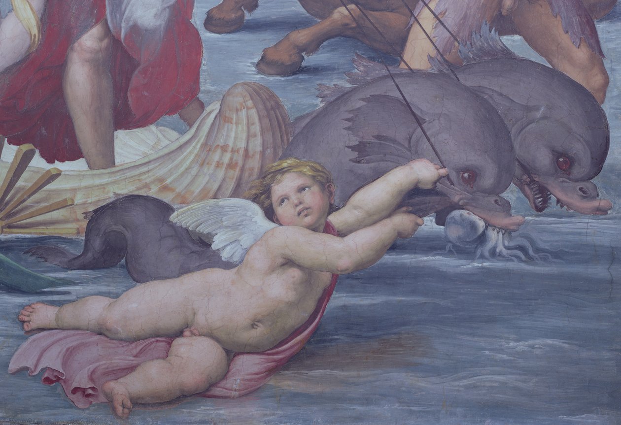 Galatea, detail putta a delfínů, 1506 detail fresky z 56473 od Raffaello Sanzio Raphael