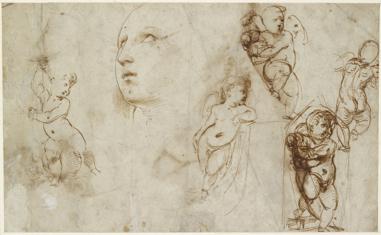 Recto: Ženská hlava pro Borghese-Beckford St Catherine a různé putti, WA1846.177 od Raffaello Sanzio Raphael
