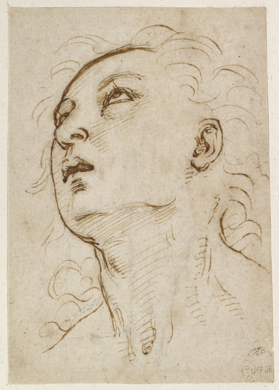 Recto: Hlava mladého muže hledícího vzhůru, WA1846.156 od Raffaello Sanzio Raphael