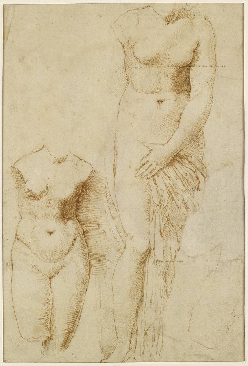 Recto: Dvě postavy Afrodity. Verso: Mužská figurka v akci, WA1846.261 od Raffaello Sanzio Raphael
