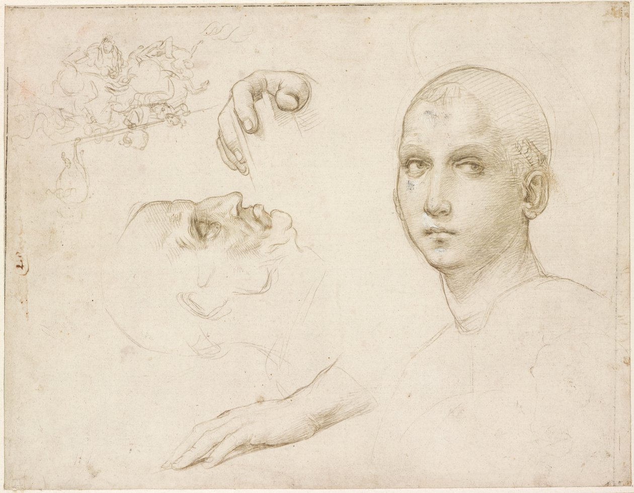 Studie pro Trojici San Severo a náčrtky po Leonardovi, WA1846.176 od Raffaello Sanzio Raphael