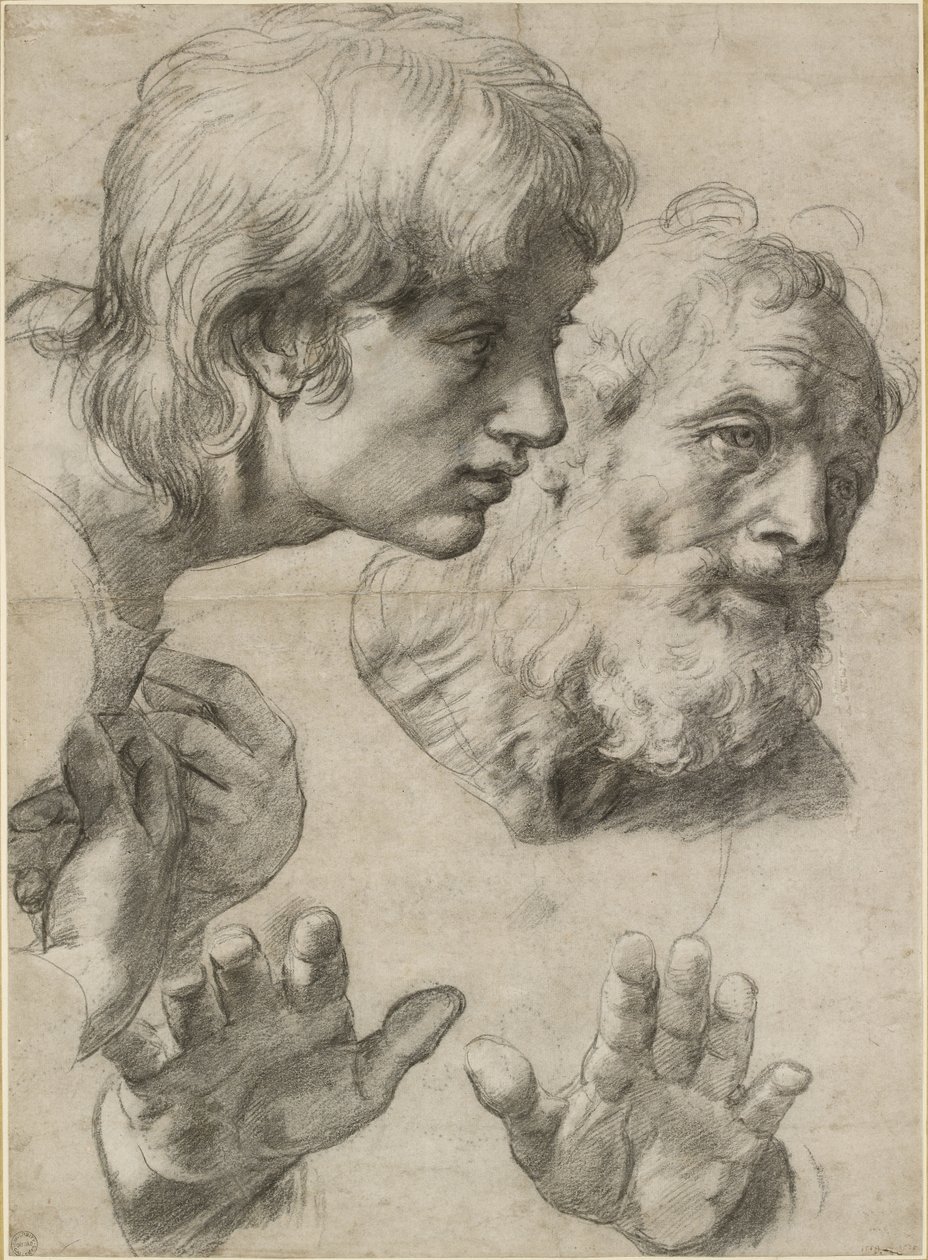 Studie o hlavách dvou apoštolů a jejich rukou, WA1846.209 od Raffaello Sanzio Raphael