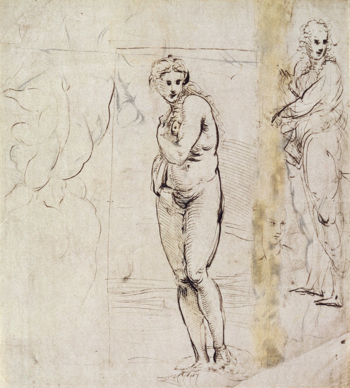 Studium Venuše (pero a inkoust) od Raffaello Sanzio Raphael