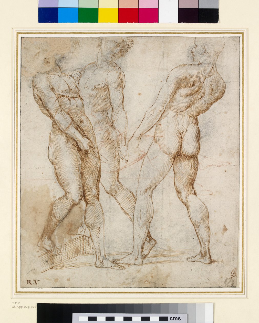 The Nude Bearers (Study for the Entombment) (pero a inkoust s kvašem na papíře) od Raffaello Sanzio Raphael