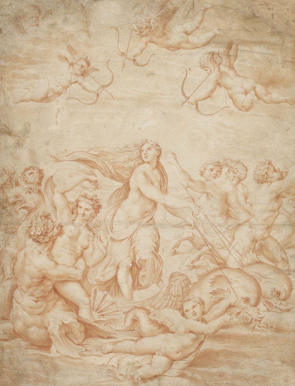 Triumf Galatey (červená křída na světle buffovém papíře) od Raffaello Sanzio Raphael