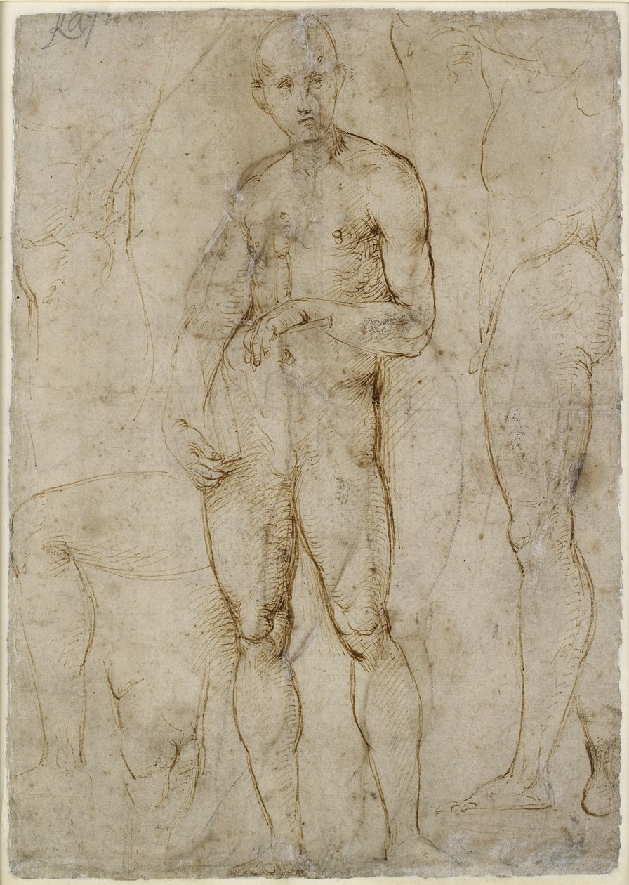 Verso: Studie aktu pro svatého Pavla, WA1846.163 od Raffaello Sanzio Raphael