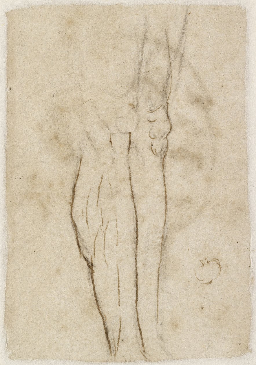 Verso: Náčrt páru nohou, WA1846.156 od Raffaello Sanzio Raphael