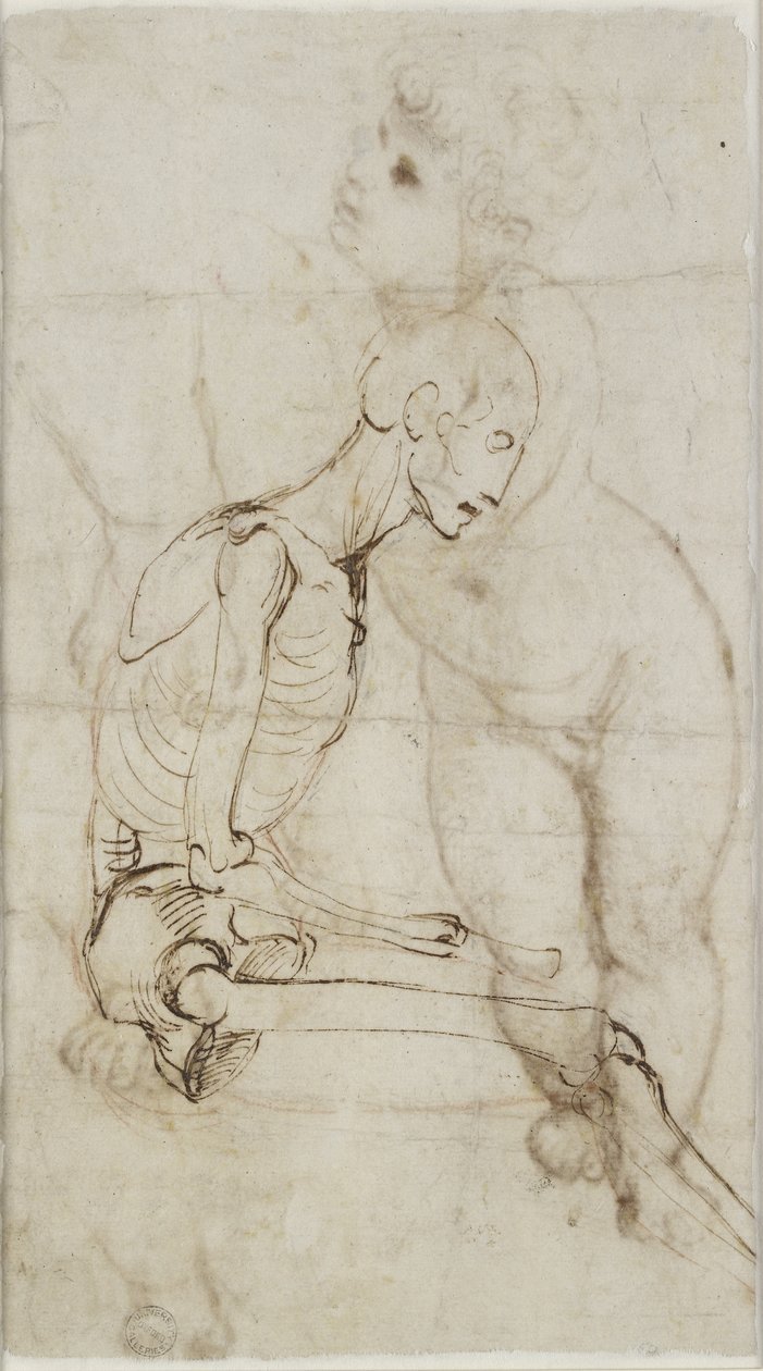 Verso: Studie kostry, WA1855.91 od Raffaello Sanzio Raphael