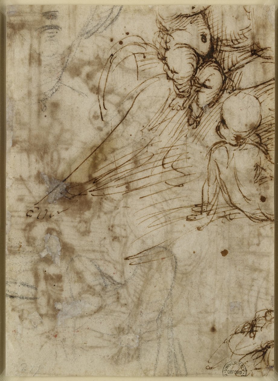 Verso: The Virgin, WA1846.162 od Raffaello Sanzio Raphael