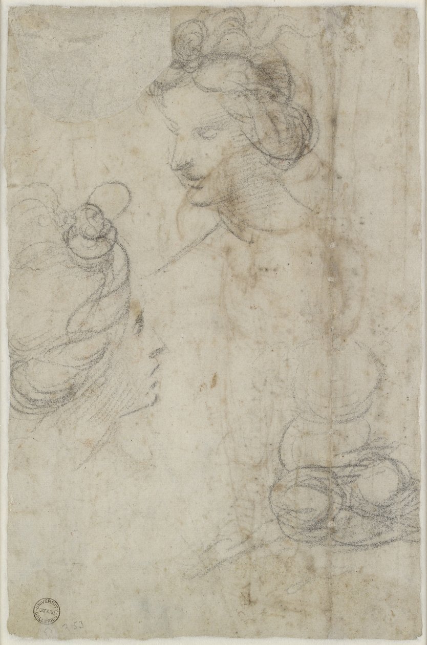 Verso: Dvě ženské hlavy a náčrt dřepící ženy, WA1846.168 od Raffaello Sanzio Raphael