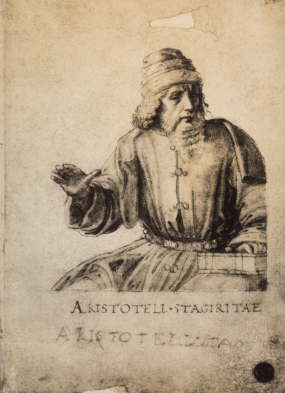 Aristoteles; kresba od Raphaela. Gallerie dellAccademia, Benátky od Raffaello Sanzio Raphael