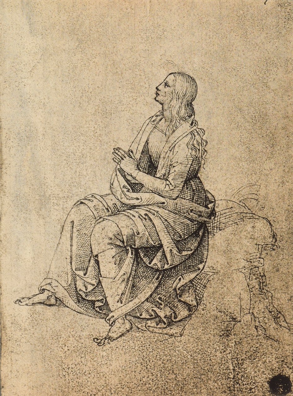 Ženská postava se modlí; kresba od Raphaela. Gallerie dellAccademia, Benátky od Raffaello Sanzio Raphael