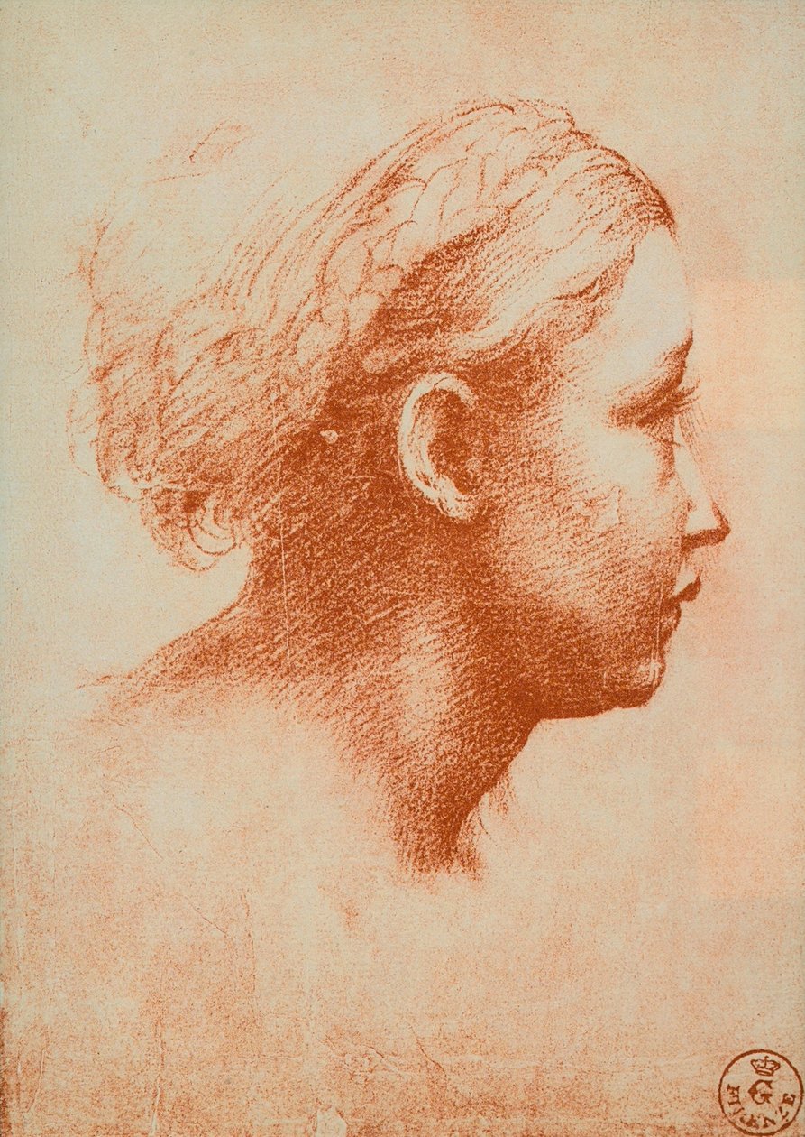 Ženská hlava z profilu, kresba Raphael. Kabinet kreseb a tisků, Uffizi, Florencie od Raffaello Sanzio Raphael