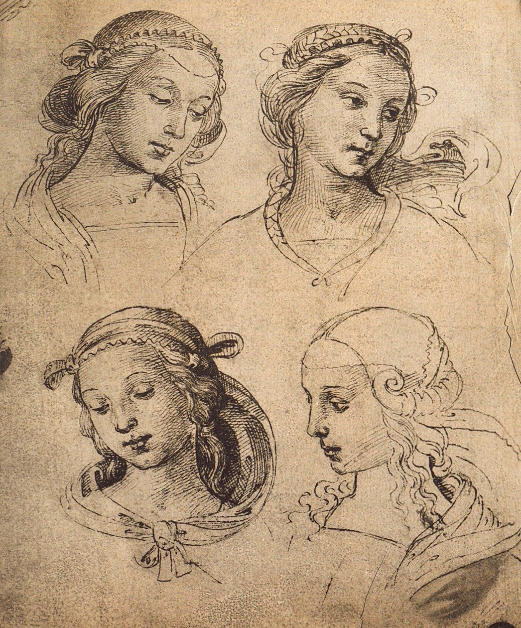 Studie čtyř ženských tváří; kresba od Raphaela. Gallerie dellAccademia, Benátky od Raffaello Sanzio Raphael