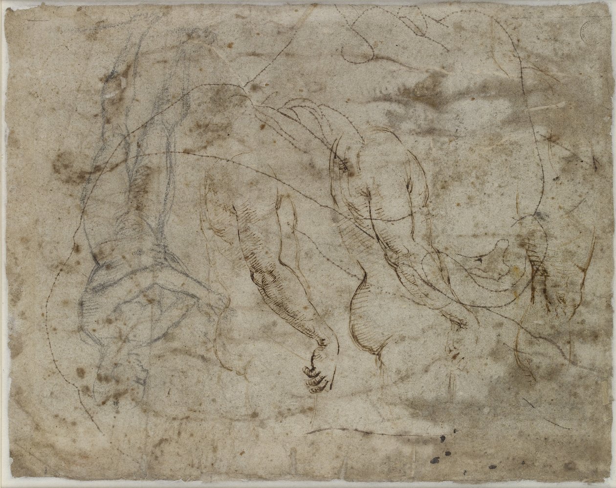 Verso: dvě studie paží, profil směřující vzhůru a stojící postava, WA1846.164 (pero a inkoust, černá křída, profil napíchnutý pro přenos) od Raffaello Sanzio Raphael