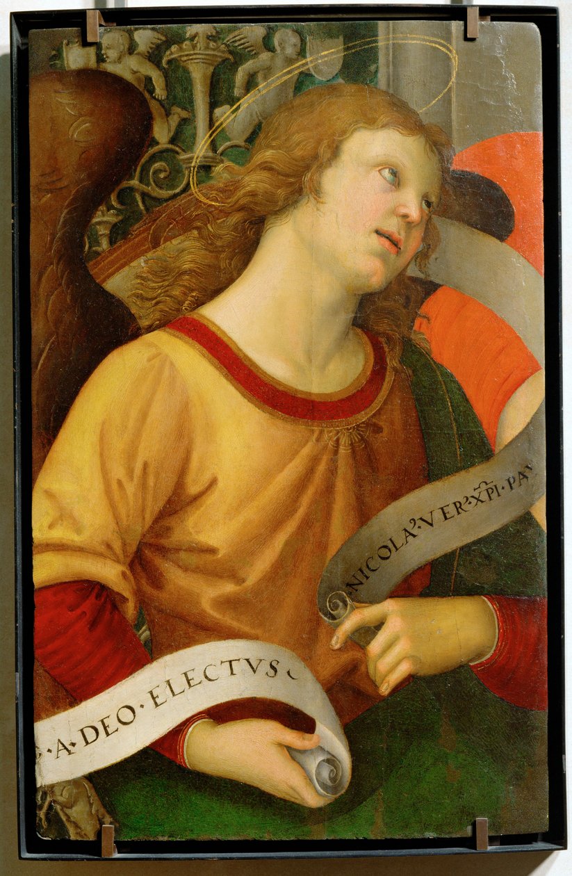 Angel ... od Raphael (1483 1520)