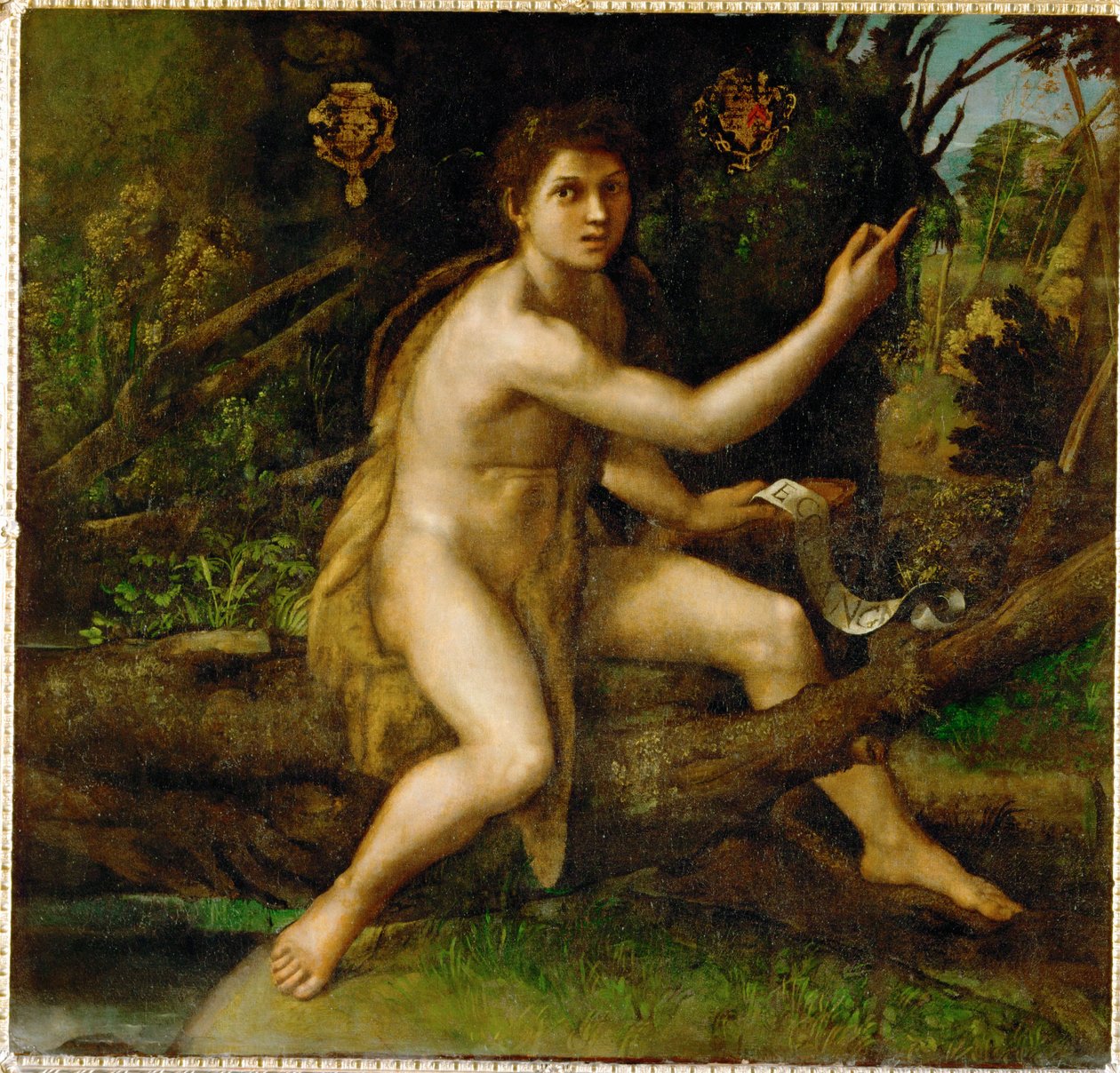 Svatý Jan Křtitel na poušti ukazuje strom, který ... od Raphael (1483 1520)