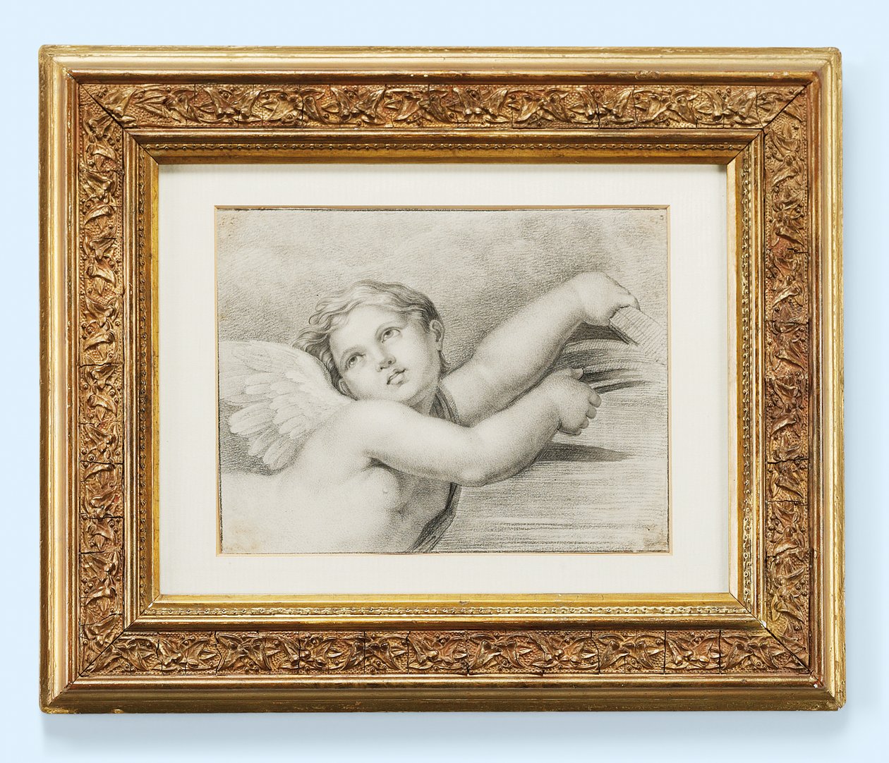 Hlava putta (černá křída na papíře) od after Raphael