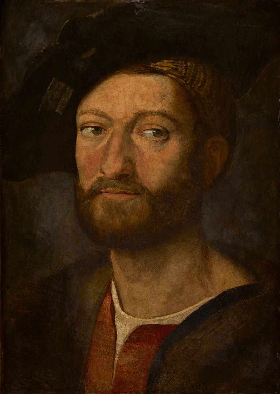 Portrét muže, údajně Giuliano de Medici, vévoda z Nemours (olej na panelu) od after Raphael