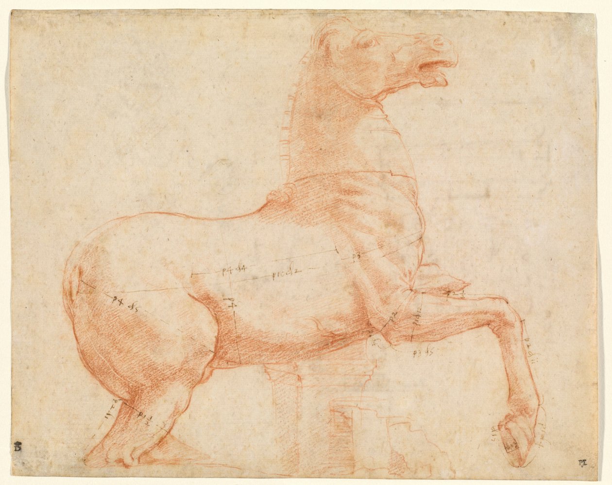 Mramorový kůň na Quirinal Hill (recto), cca 1513 (červená křída, pero, hnědý inkoust, olověné hroty a stylus) od Raphael (1483 1520)