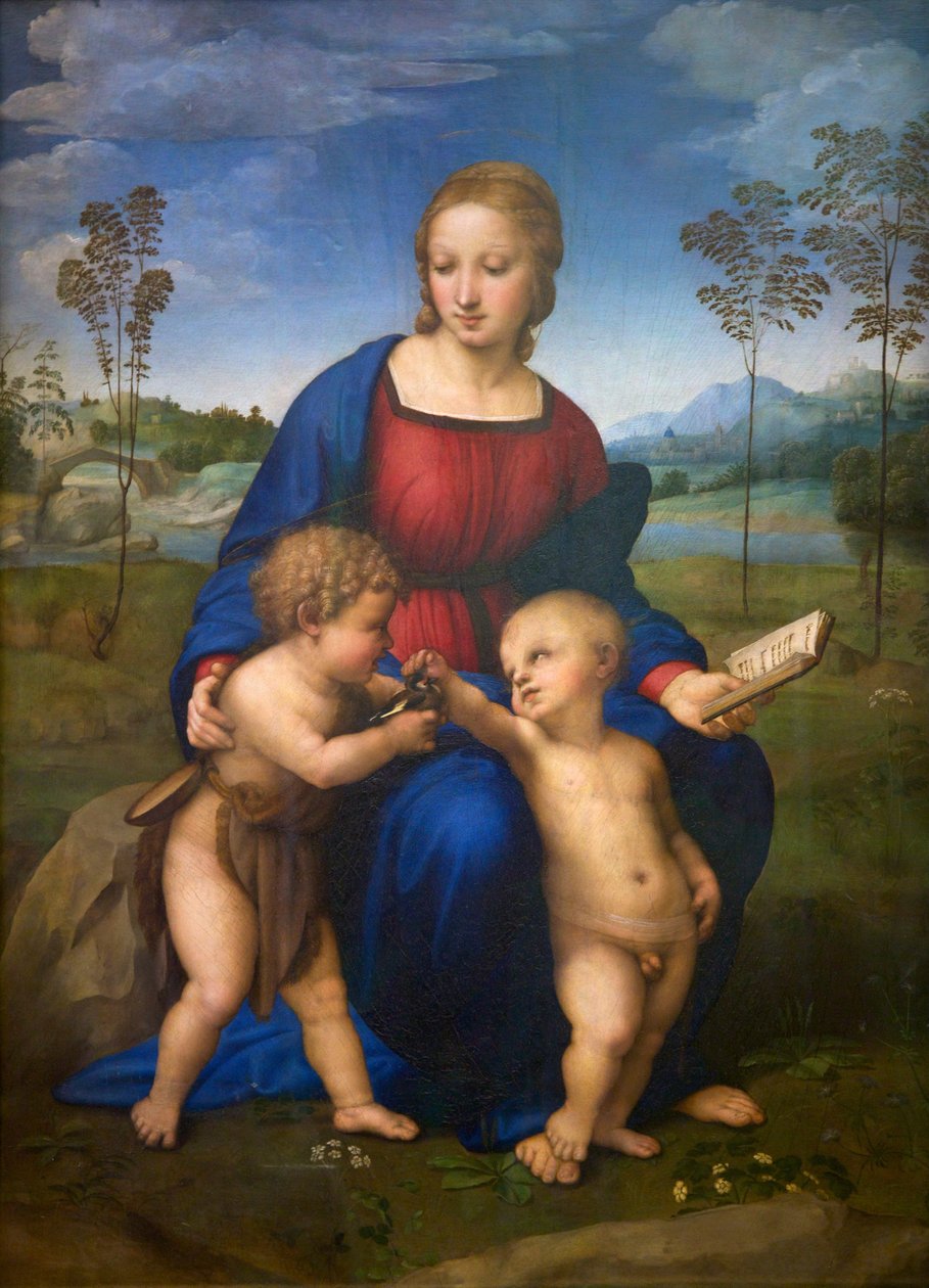 Madona se zlatou rybkou (Madonna del Cardellino) asi 1505-06 (olej na plátně) (po restaurování) od Raphael (1483 1520)