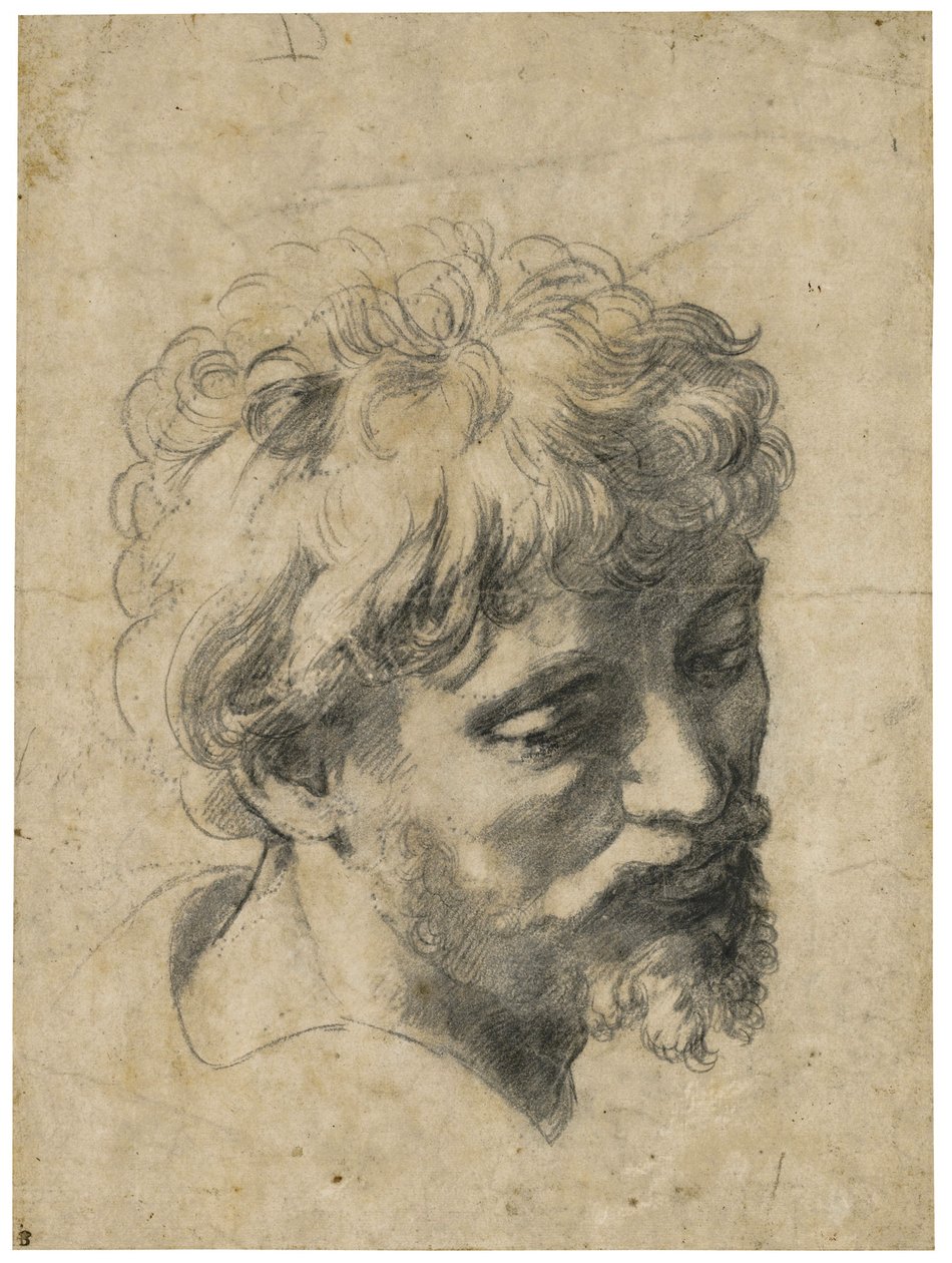 ""Portrait Of A Young Apostle"" (Hlava mladého apoštola) Uhlí na papíře Raphael (Raffaello Sanzio) (1483-1520) Soukromá sbírka od Raphael
