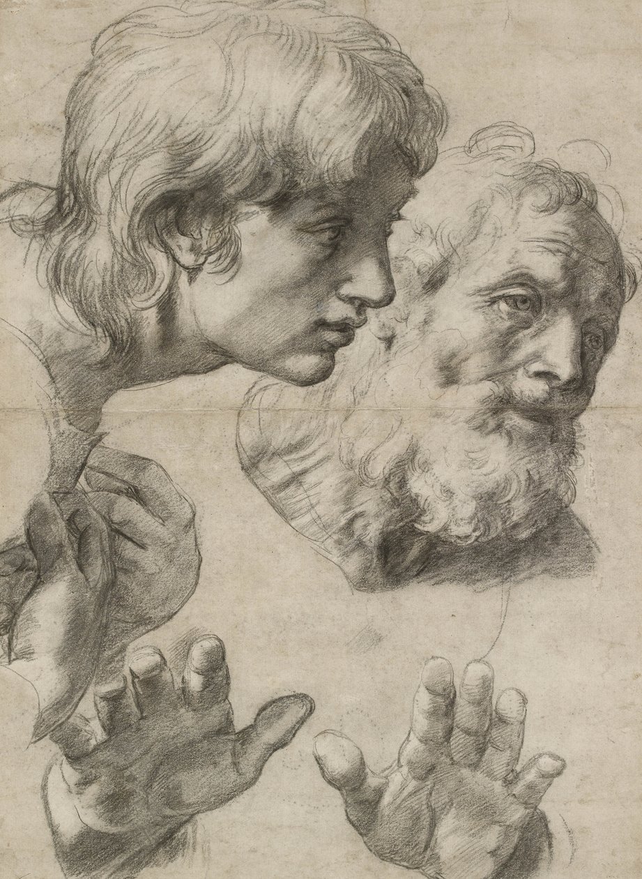 Studie o hlavách dvou apoštolů a o jejich rukou (černá křída s bílou na zašedlém papíře) od Raphael