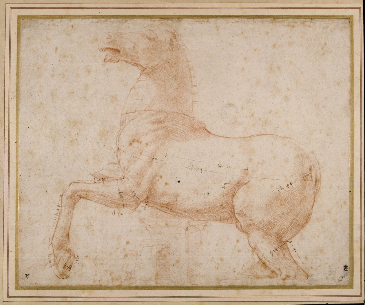 Studie koně (pero, inkoust a tužka na papíře) od Raphael