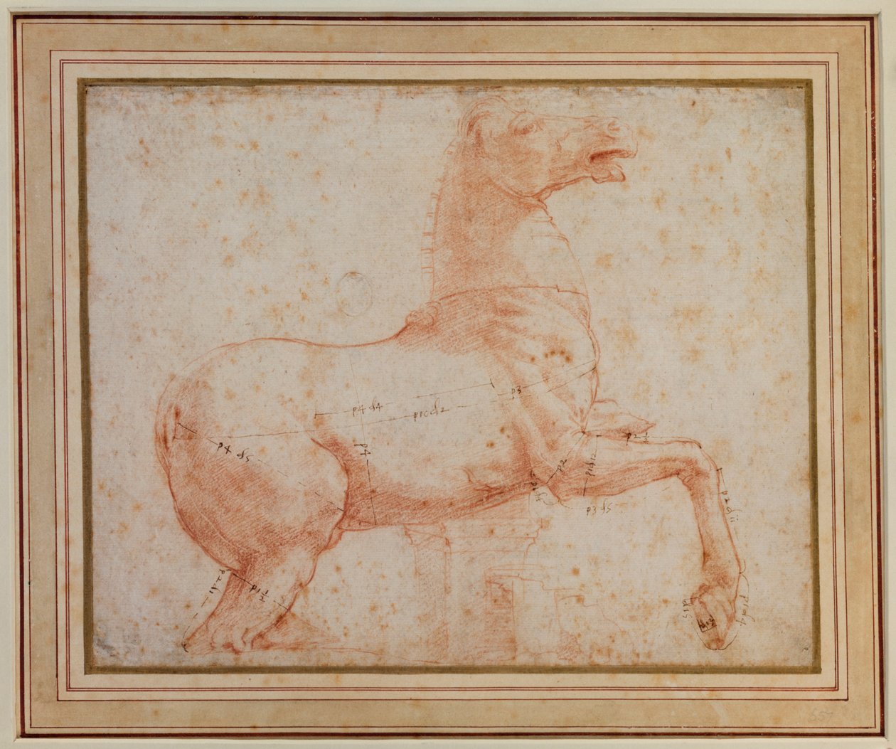 Studie jednoho z quirinalských mramorových koní (červená křída přes pero) od Raphael