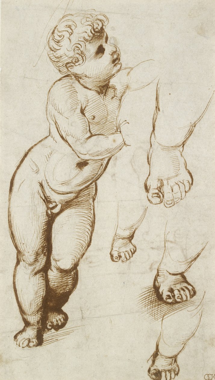 The Infant Christ a další studie (pero a tmavě hnědý inkoust přes předběžné indikace v leadpointu, na bílém papíře) od Raphael