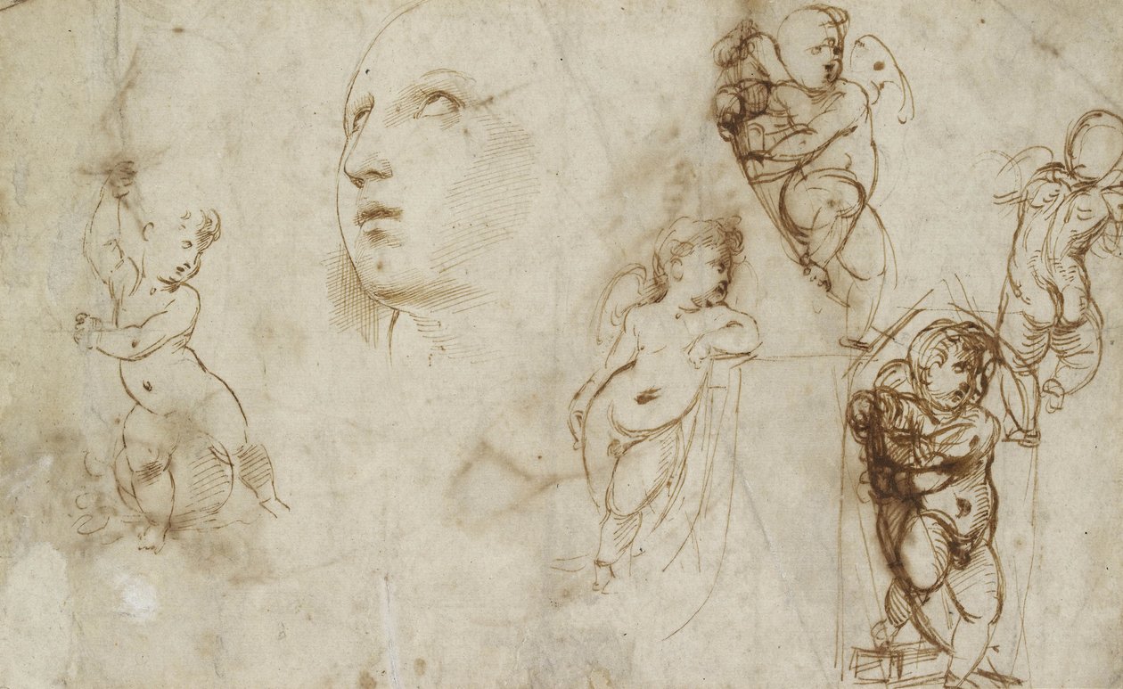 Různé studie, především pro Borghese-Beckford St Catherine (pero a hnědý inkoust na špinavě bílém papíře) od Raphael