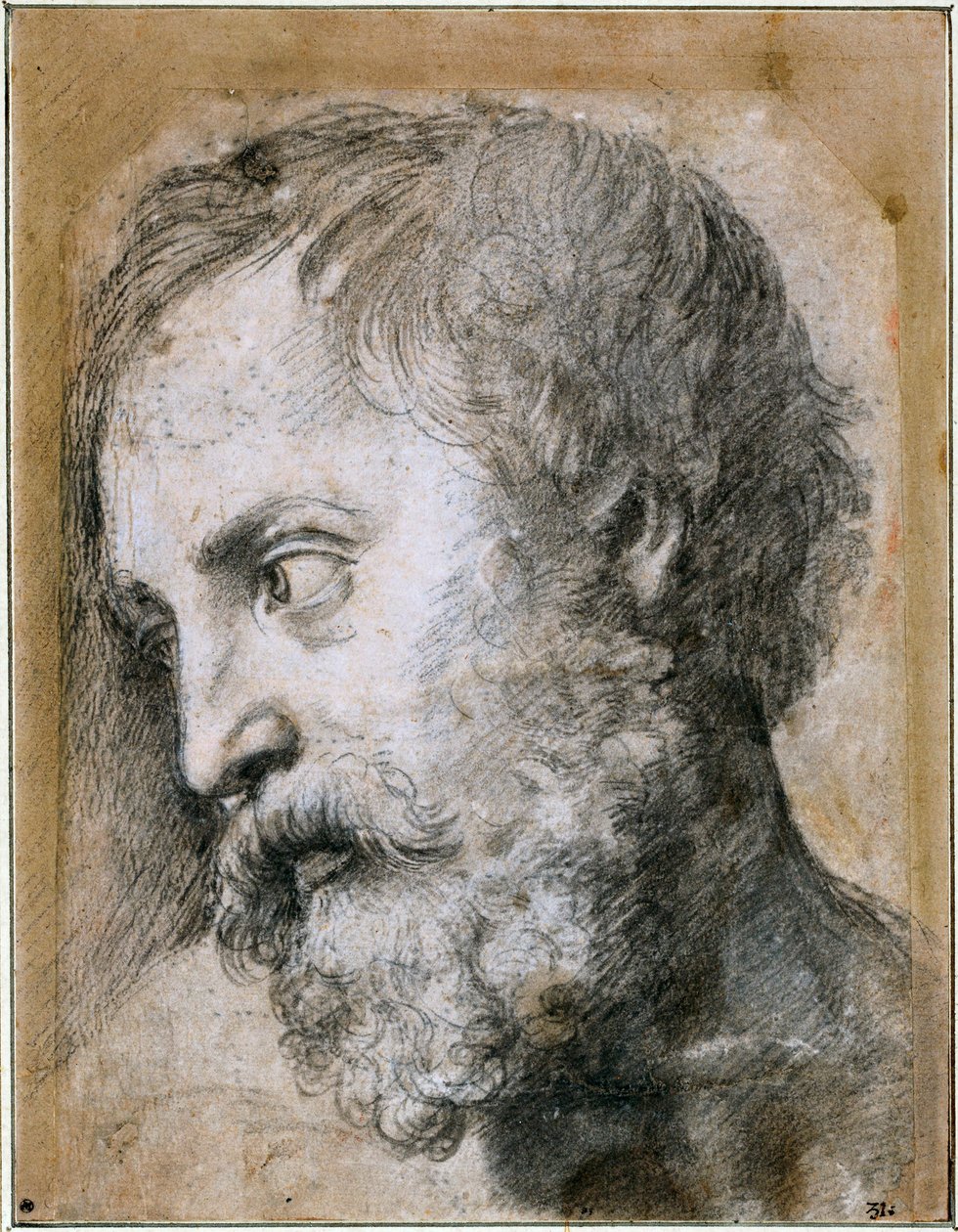 Vedoucí Apoštolského studia proměny, 1519-1520 od Raffaello Sanzio Raphael